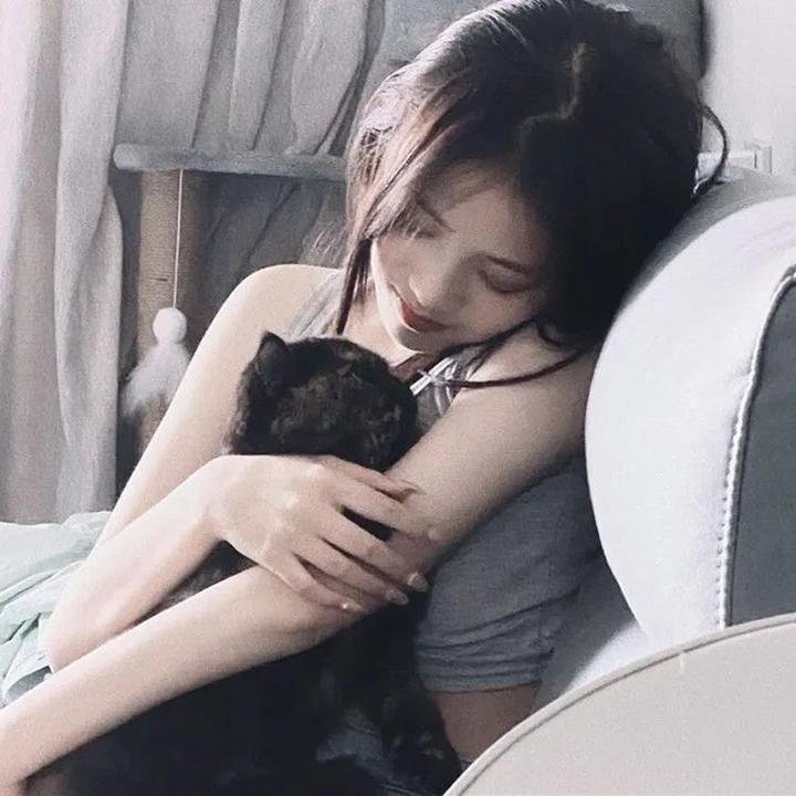 七个秘书 特别篇